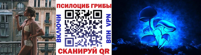 гидра tor  Крым  Псилоцибиновые грибы Magic Shrooms 